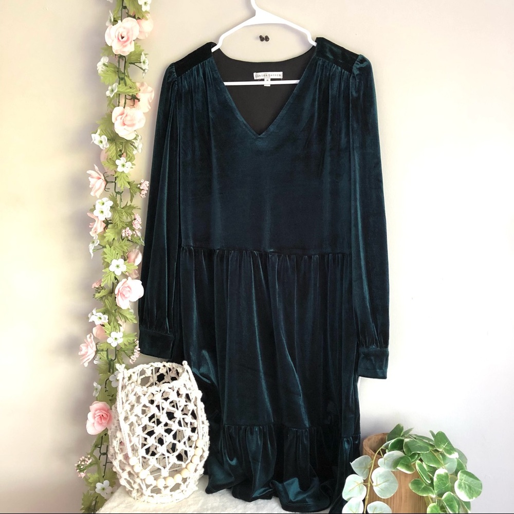 🌺Sandra Darren Velvet NWT!